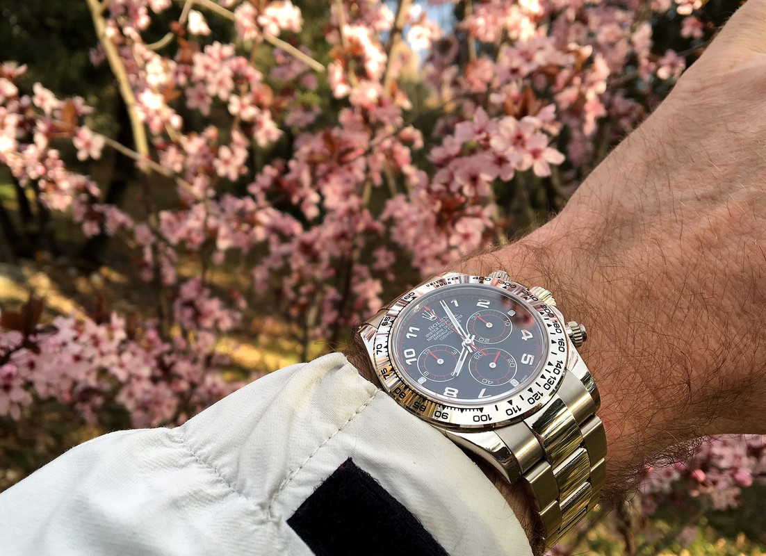HOMMAGE à ZEN : ici notre plus beau bouquet de ROLEX ! - Page 3 IMG-9822