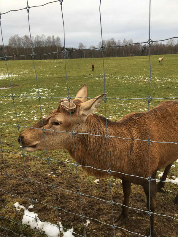 CE09CE36-ED06-4C19-8FE2-D4D287FEEE26