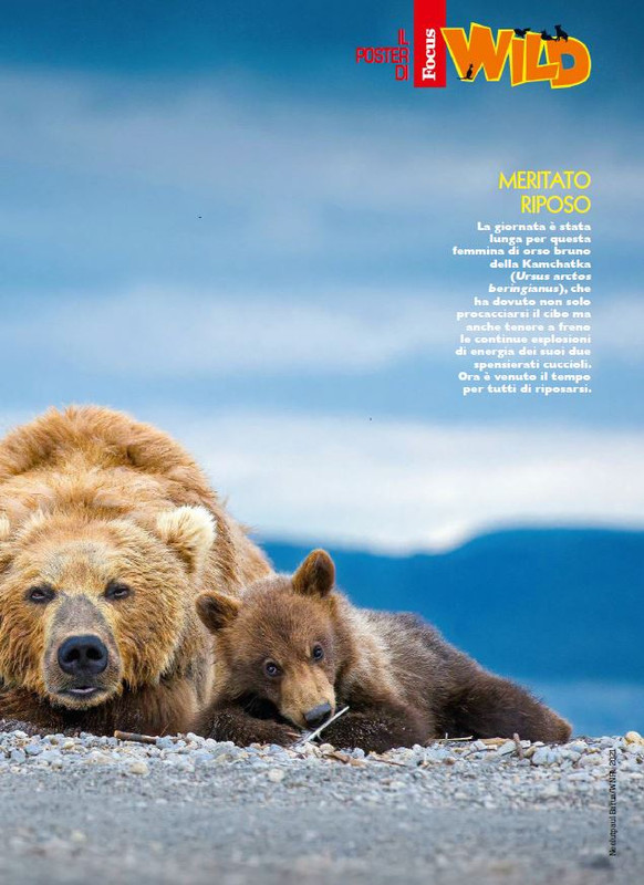 Foc Wil - Lug 2023 (6)