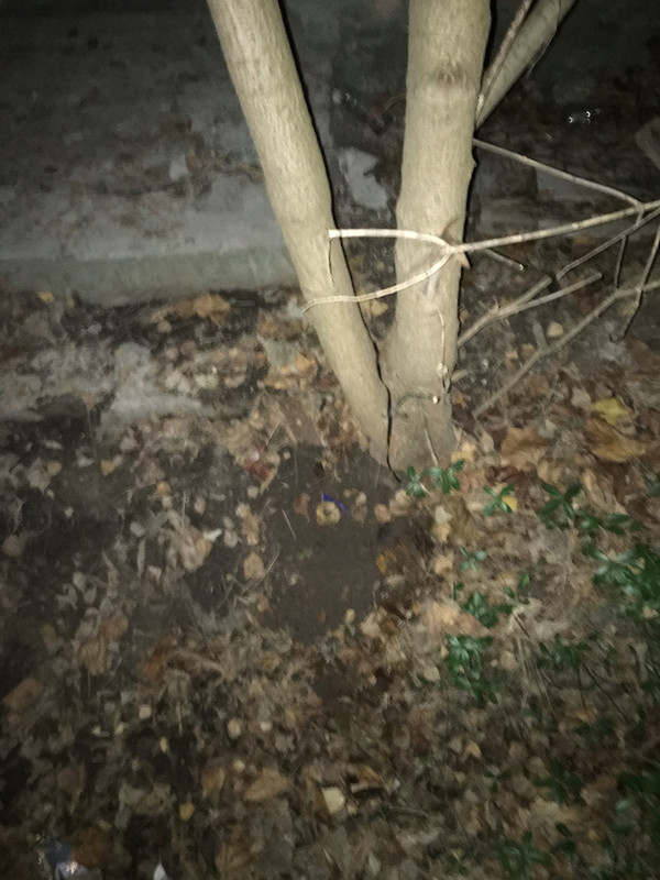 0F87C425-BCF4-4FB7-83D7-04F9356092C5