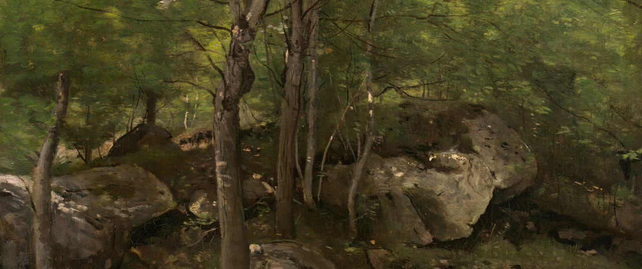 21 9rocks in the forest of fontainebleau 1963 10 110 result