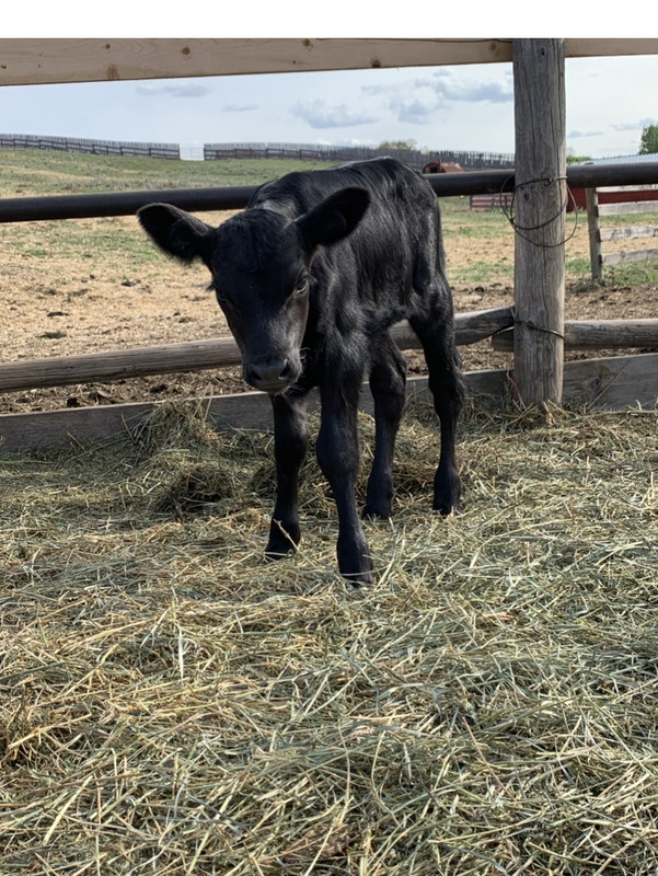 AB69DE8D-A85D-4152-8ACF-A7E6D480D8FD