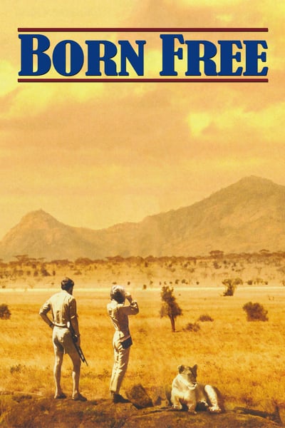 born-free-1966-1080p-bluray-x264-sadpand