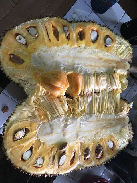 8110C4CA-CF4D-4C32-9BC9-8B110342EED6