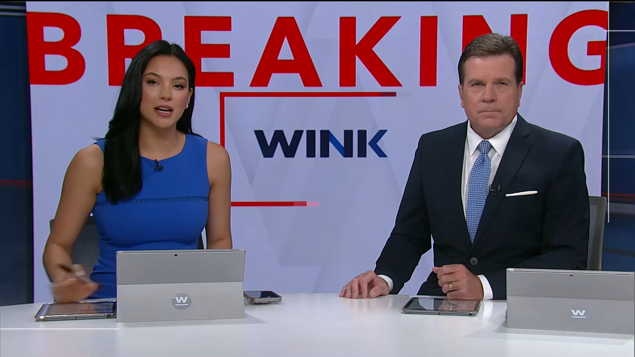 04.05 - 20.00.01 - WINK News at 3pm.   Category  News.      EPG Credi....ts_snapshot_00.01.59.588
