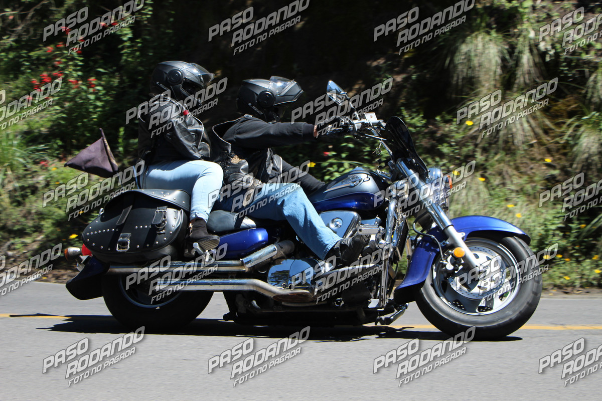 IMG 5971 wm 17812403 2 watermarked — Postimages