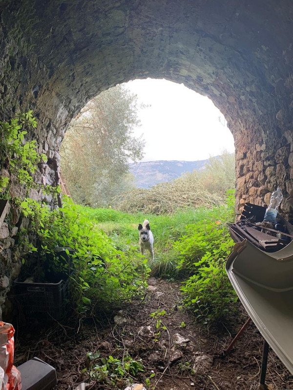 3C49CD8E-AD3E-42AD-AB3F-CF527A9151BD