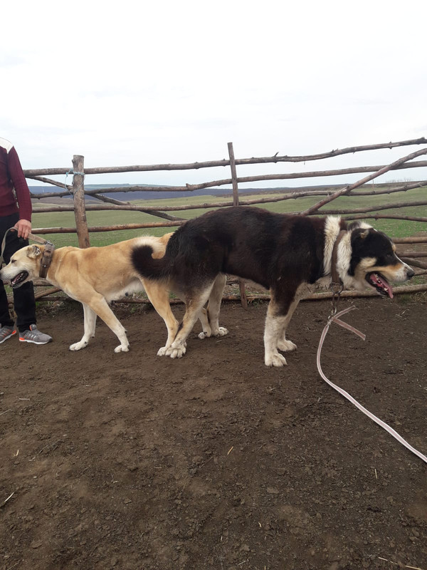 9BB68C31-D6CE-4637-99B2-ABA3630522E6