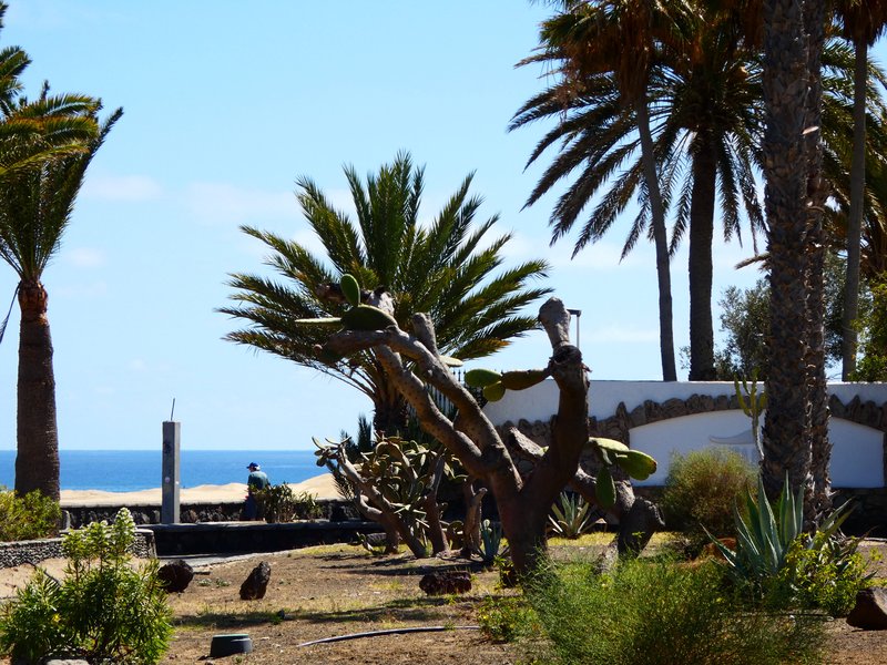 Maspalomas-6-4-2025 - Islas Canarias y sus pueblos-1991/2025 (55)