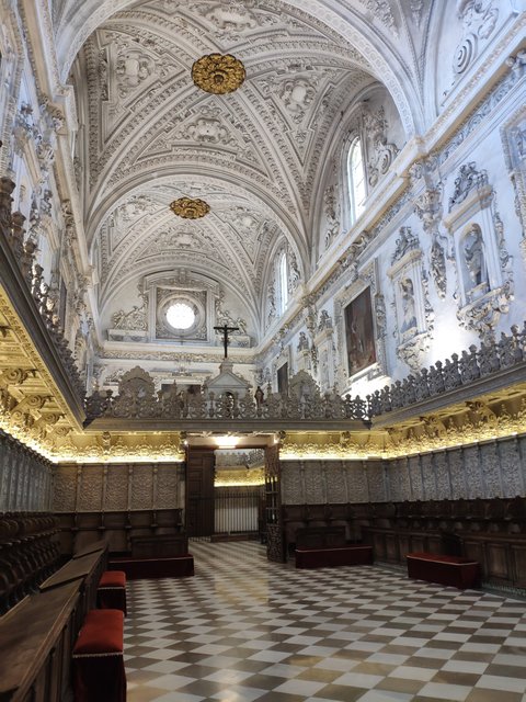 Jueves 9/07. Monasterio de San Jerónimo y de la Cartuja. Viaje a Consuegra. - Córdoba y Granada en un verano atípico. (10)