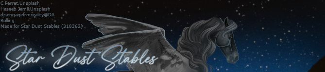 Star-Dust-Banner.png