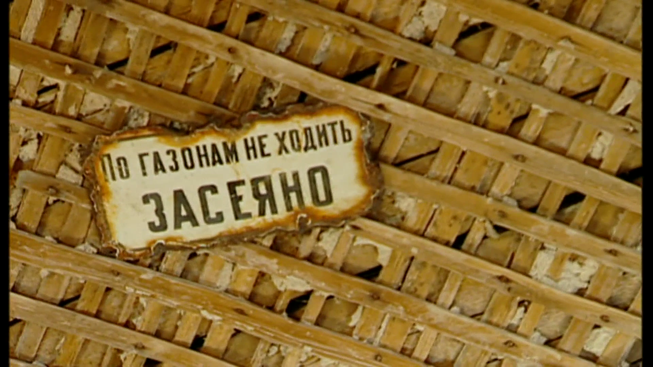 vlcsnap-2025-02-04-08h34m20s290