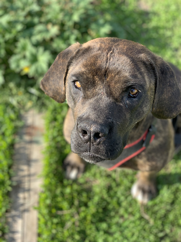 BB7077C7-27F7-4EA7-B9B1-547B10AA0DAF