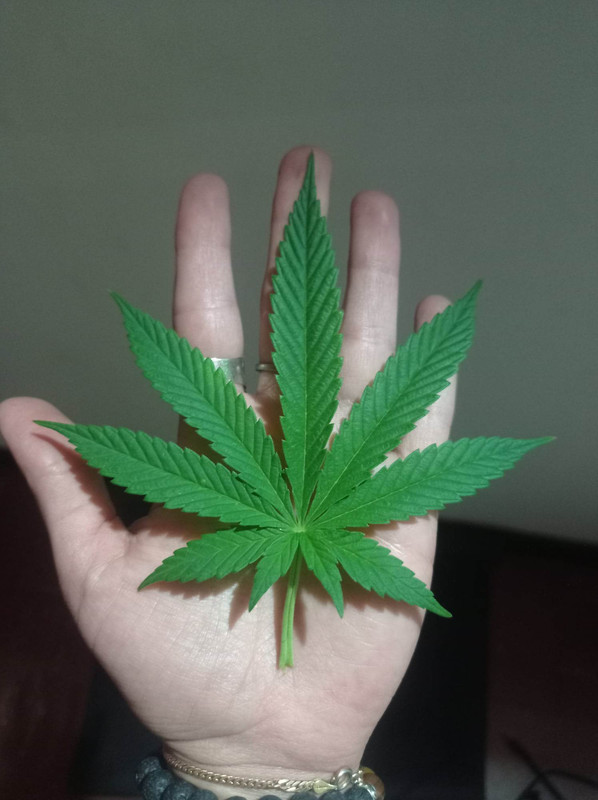 331497730_3386272271647120_8487000330739065970_n