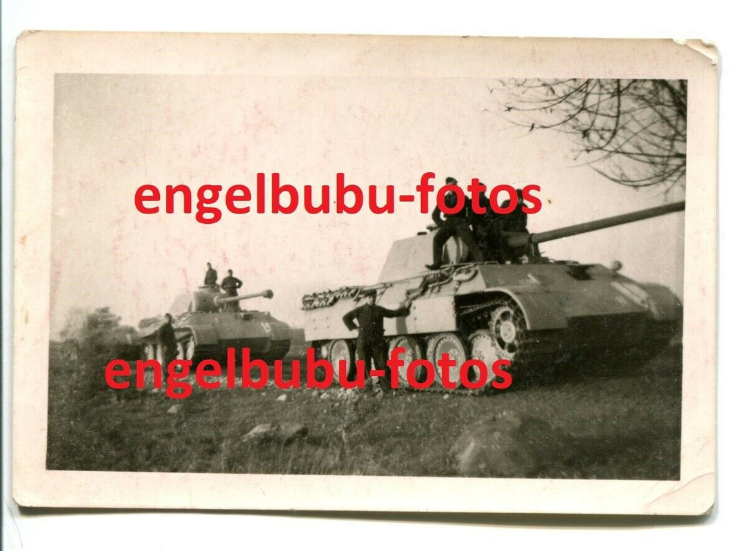 FOTO - PANZER - Panzer V - PANTHER - Selt. Ausführung mit heller Bemalung (1)