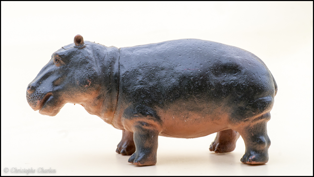 Pictures for Toy Animal Wiki - Page 30 TM-2011-Hippo-2