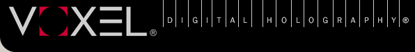 VoxLogo
