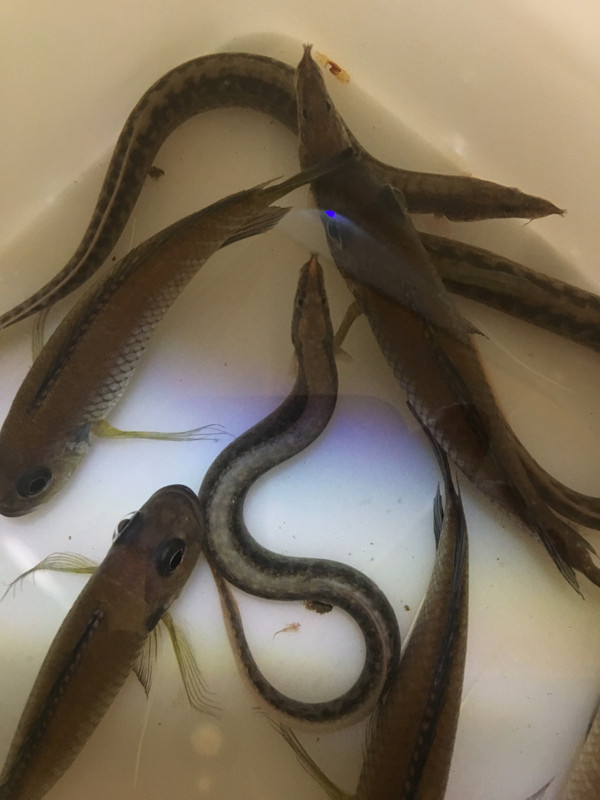 06CA2AD0-2483-4BE6-A651-81C92649AE90