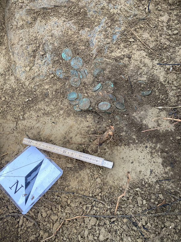 5DCC149E-C613-4271-8BB5-B4A281F06C79