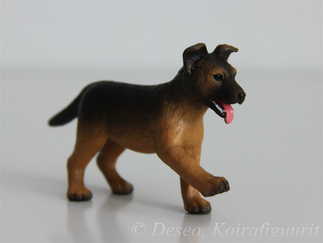German Shepherd Dog, puppy