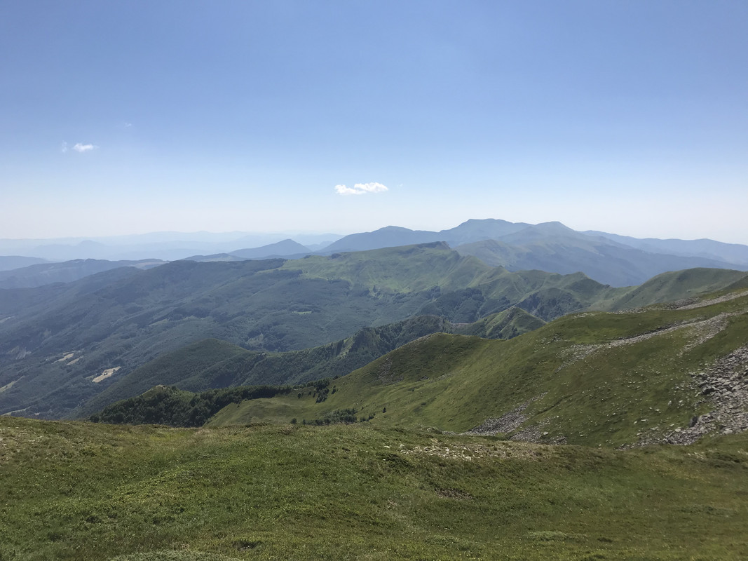 56DB038F-D412-44C7-82E0-A7BFFA0B3346