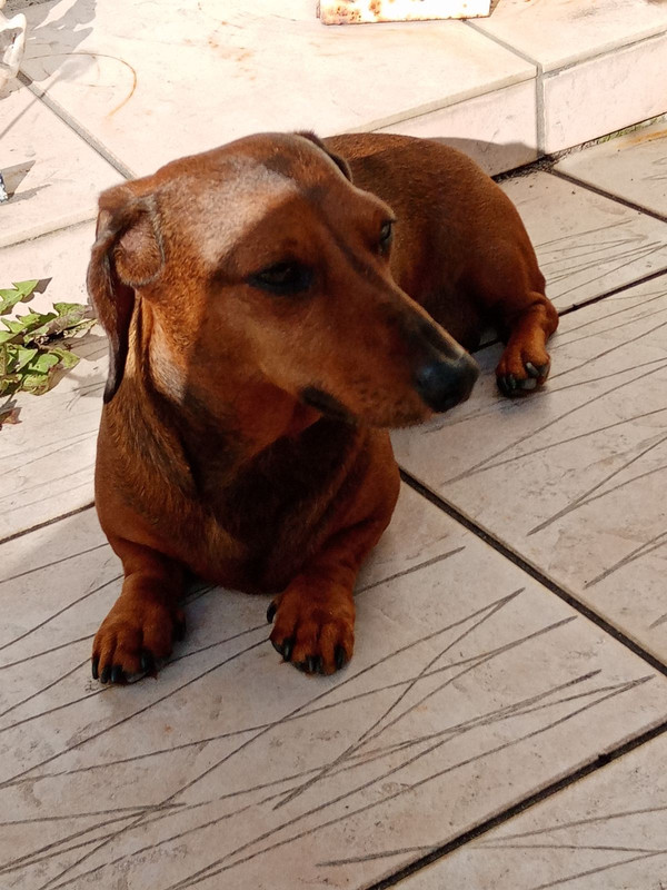 [Image: IMG-20240705-164909.jpg]