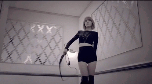 whip-discipline.gif