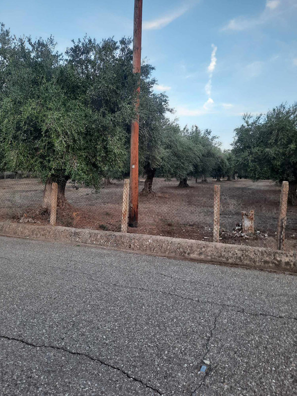 Messenger_creation_99A549E5-04C1-4D5E-A598-C1887048B339