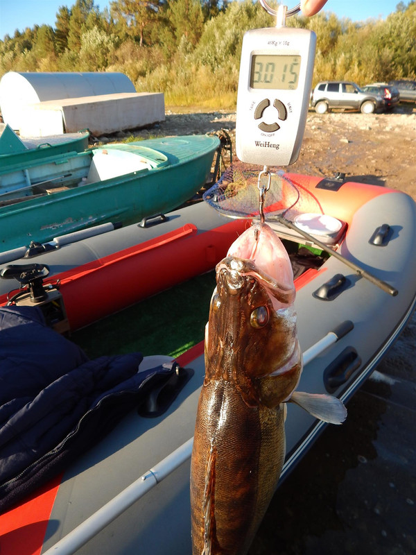 38_Мальцев_Анатолий__джиг (3)