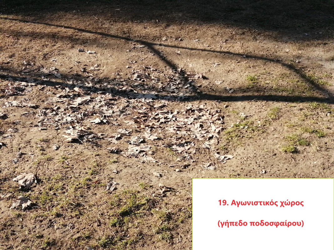 418965449-3544405382555238-8408881440663279483-n