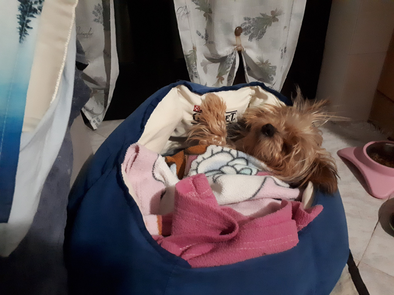 20251201 031247 resized