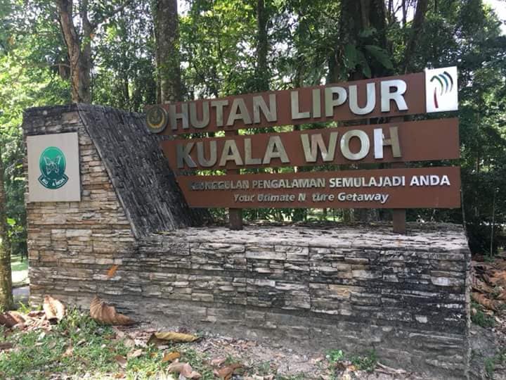 kolam air panas Kuala Woh