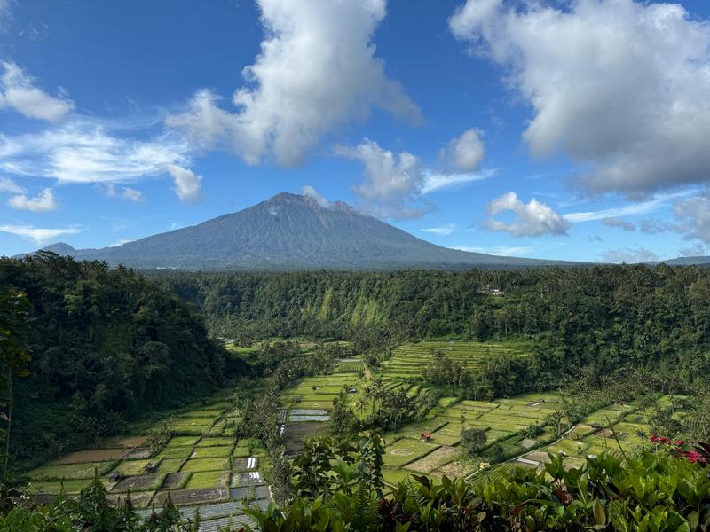 6 Aviones, 3 barcos y 2 trenes, empezando en Estambul y terminando Kuala Lump - Blogs de Indonesia - TERCERA PARADA: BALI (83)