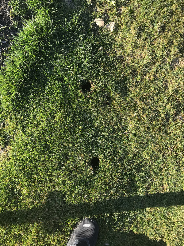 3F302EAA-394D-4C90-98BC-5B1DCF23D3EA