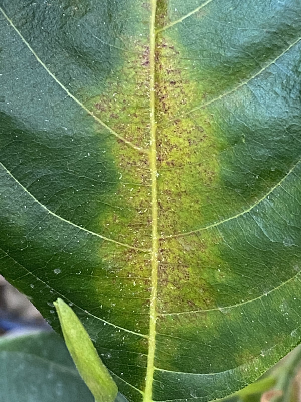 581CF6E4-3F06-43BE-A30E-41C486F913D1