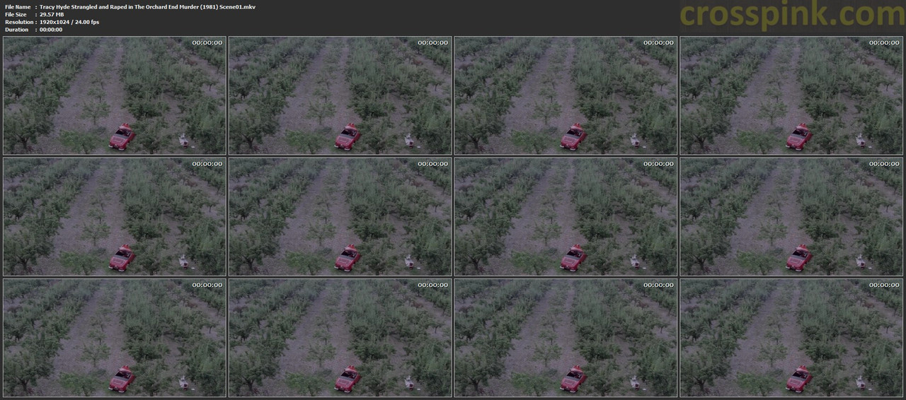 Tracy Hyde Strangled and Raped in The Orchard End Murder (1981) Scene01.mkv