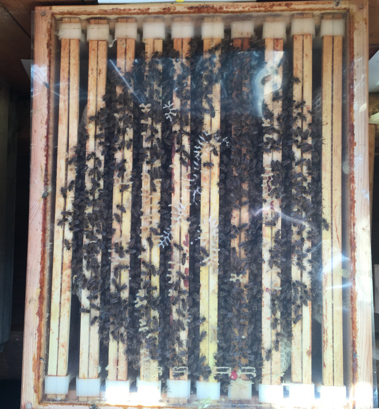 44CF4F11-4219-4CA2-960A-8DB43A51E373