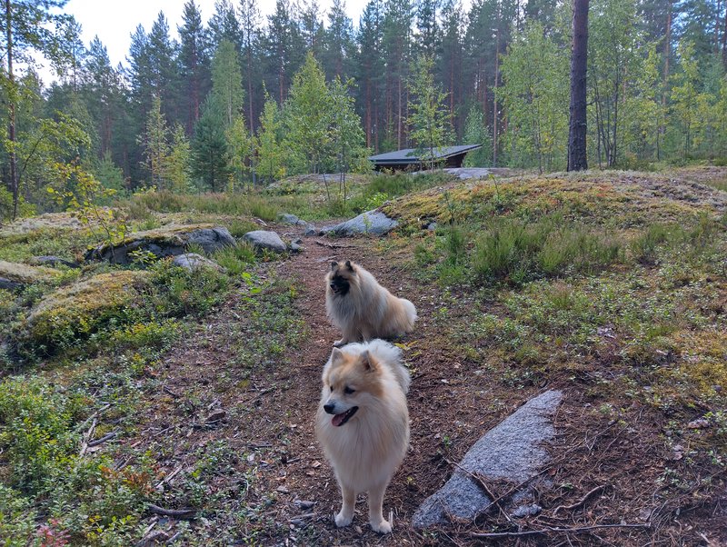 IMG_20250818_134913_HDR