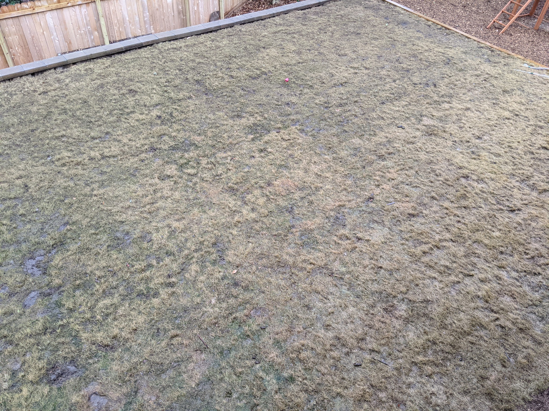 PXL_20210121_215949199.MP