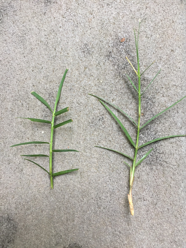 5385B303-4A0A-4FAF-A276-46D9FCB52266