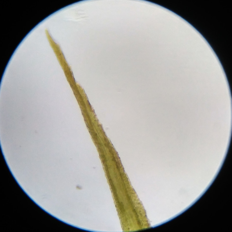 IMG 20250617 121847 HDR