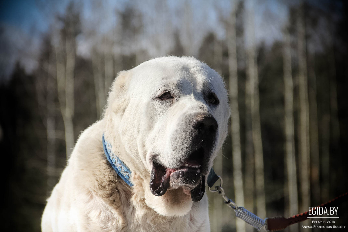 97513B09-989F-43ED-8734-4F82792F73EC