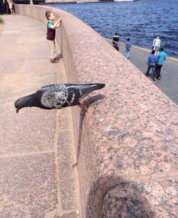 19 сумасшедших фото, глядя на которые вы не поверите своим глазам