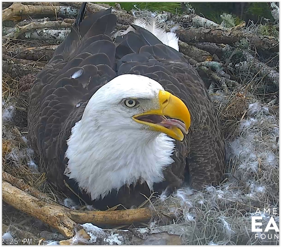 Screen Shot 02-01-20 at 07.03 PM