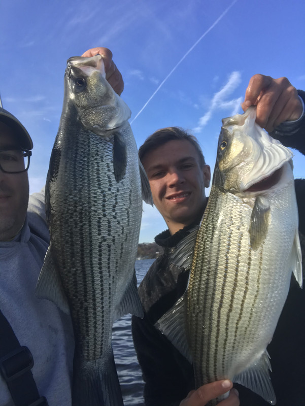 086F810C-48C8-403E-AD07-81C39068DF80