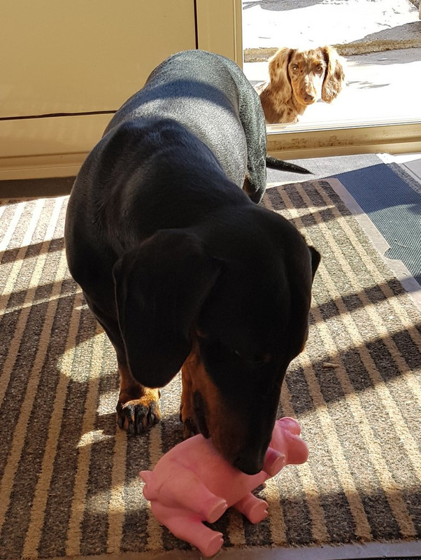 [Image: 20200713-095323.jpg]