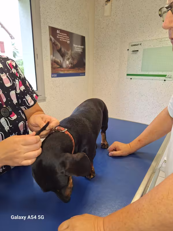 [Image: 20240820-181225.avif]