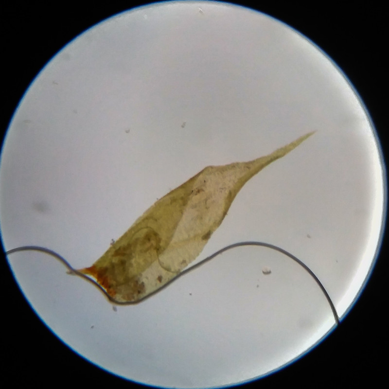 IMG 20250617 111825 HDR