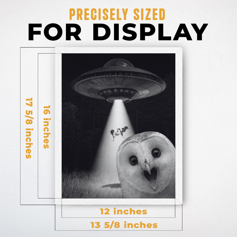 (IP028310C)