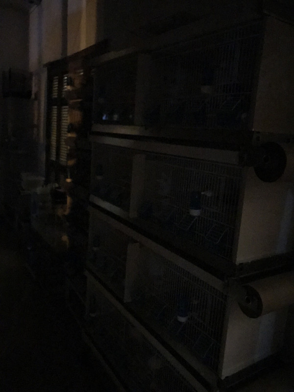 193A470F-A36A-4DBC-A0CB-1541E32CDBAD